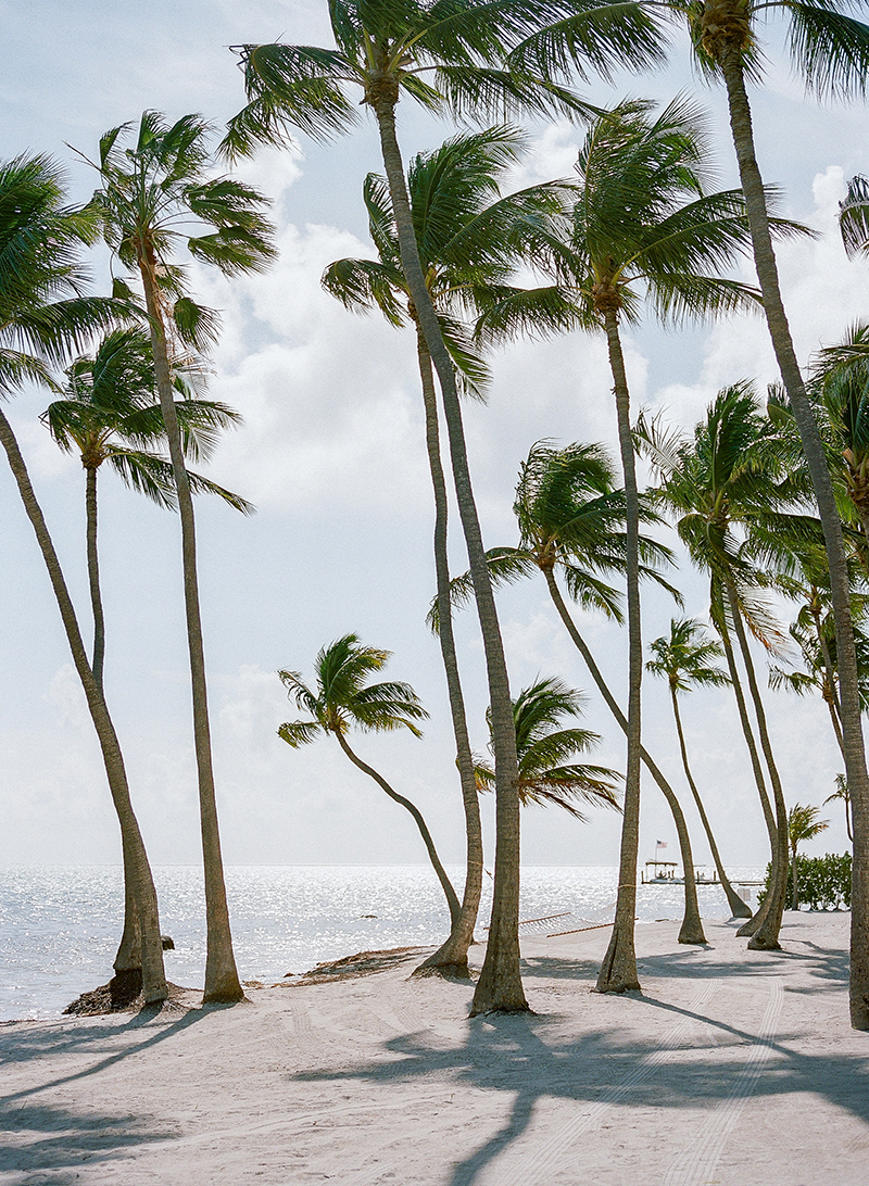 islamorada wedding_0001