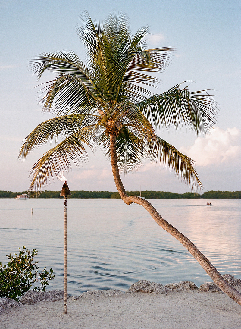 islamorada wedding_0065